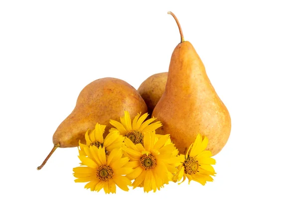 Birnen Mit Gelben Blüten Isoliert Auf Weiß Reife Birnen Als — Stockfoto