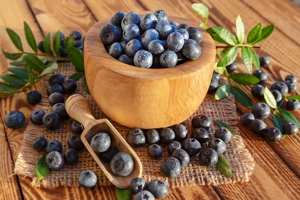 Blueberries Bowl Rustic Wooden Background Close — Stock Photo, Image