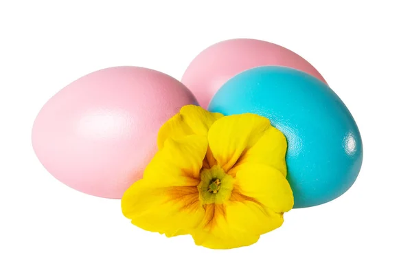 Huevos Pascua Brillantes Huevo Cocido Con Flor Amarilla Blanco Imagen —  Fotos de Stock