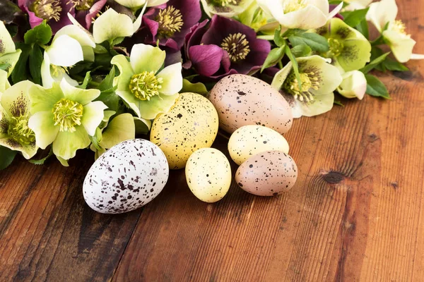 Easter Egg Pastel Color Spring Flowers Natural Wooden Background Purple — Stock Photo, Image