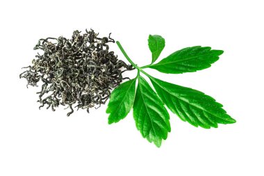 jiaogulan yaprak veya ölümsüzlük bitki jiaogulan bitki beyaz arka plan üzerinde kurutulmuş