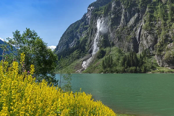 Idylická Horská Krajina Alpách Kvetoucí Květinami Horským Jezerem Vodopádem Stillup — Stock fotografie