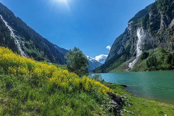 山の湖と夏の高山風景 スティルアップ スティルアップ湖 オーストリア チロル — ストック写真