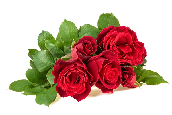 Fresh Red Roses Bouquet Isolated White Background — Stock Photo, Image