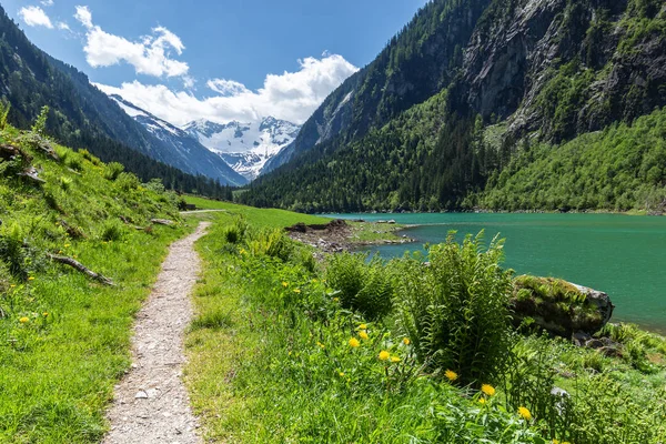 Idyllic excursion destination scenic in summertime in the Alps, near Stillup Lake, Zillertal Alps Nature Park, Austria, Tyrol