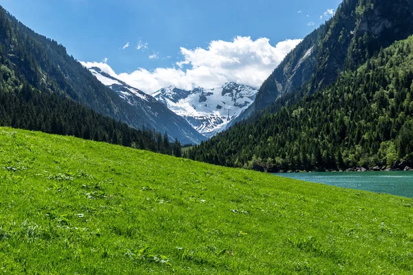 Alpok Idilli Hegyi Tájának Panorámával Friss Zöld Rét Havas Hegycsúcsok — Stock Fotó