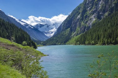 Pastoral dağ gölü manzara, Avusturya, Zillertal Alpler Doğa Parkı