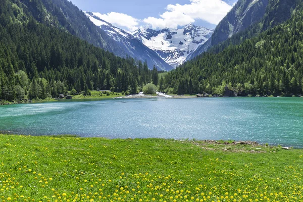 Úžasná Alpská Krajina Zelenými Loukami Zasněžené Hory Pozadí Rakousko Tyrolsko — Stock fotografie