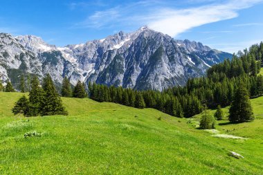 Pastoral dağ manzarası. Avusturya, Gnadenwald, Tirol Bölgesi