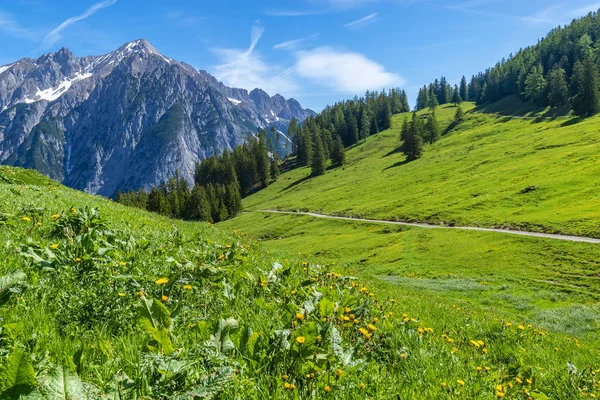 Bela Paisagem Montanhosa Alpes Áustria — Fotografia de Stock