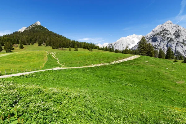 Alpi Abbeveratoio Austria Gnadenwald Walderalm Tirolo — Foto Stock