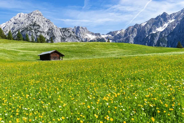 Úžasný Pohled Rakouské Alpy Louku Nedaleko Walderalmu Rakouska Gnadenwaldu Tyrolska — Stock fotografie
