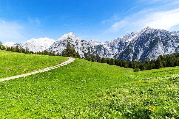 Chemin Vue Des Alpes Travers Paysage Montagne Été — Photo