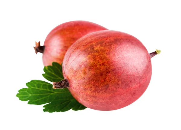 Gooseberries Fresh Gooseberries Isolated Clipping Path — Stock Photo, Image