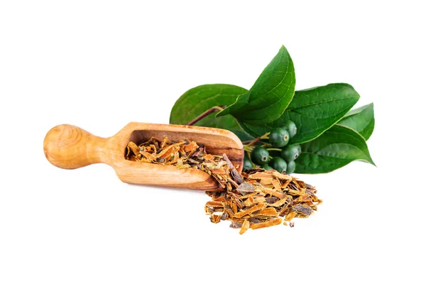 Buckthorn Bark Alder Buckthorn Dried Loose Herbal Tea White — Stock Photo, Image