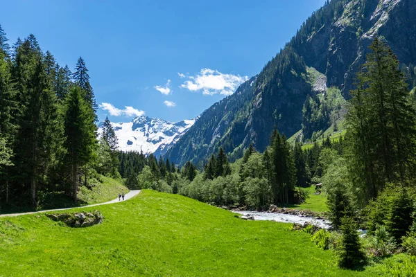 夏季阿尔卑斯山山景途中的静谷 奥地利 蒂罗尔 — 图库照片