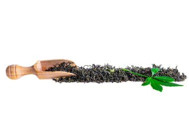 Mucize ot veya Güney ginseng (Gynostemma pentaphyllum). Jiaogulan ot çay beyaz izole.