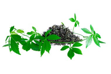 Mucize ot, Güney ginseng, Gynostemma sartafil, Beş Yaprak Ginseng, Beyaz Ölümsüzlük Herb