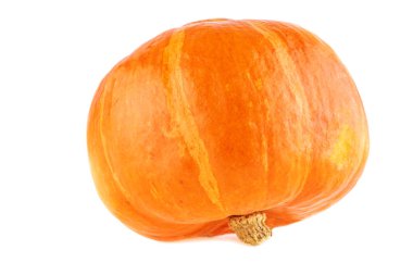 Hokkaido balkabağı. Beyaz arka planda yakın bir bütün kabak