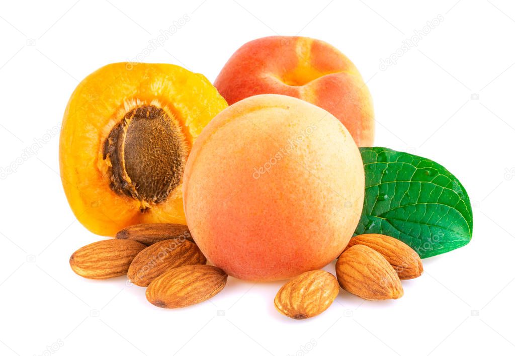 Apricot with fruit kernel and stones on white background