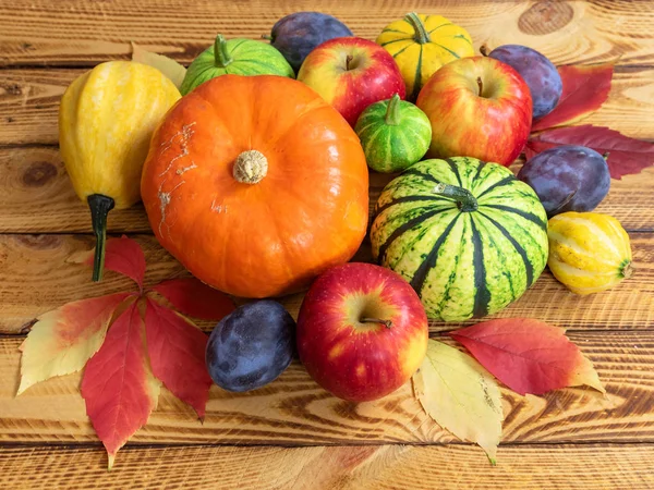 Frutas Verduras Otoño Concepto Acción Gracias — Foto de Stock