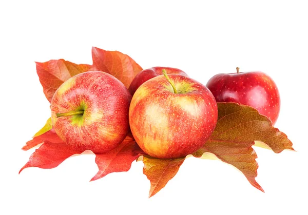 Apfelfrüchte Mit Herbstblättern Isoliert Auf Weißem Hintergrund — Stockfoto