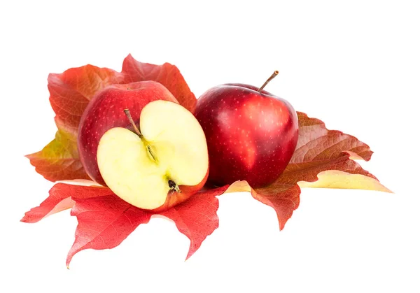 Bright Apples Red Autumn Leaf White Background — Stock Photo, Image