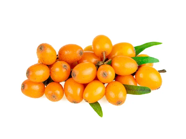 Buckthorn. Beyaz arka planda deniz dikenli meyve meyveleri.