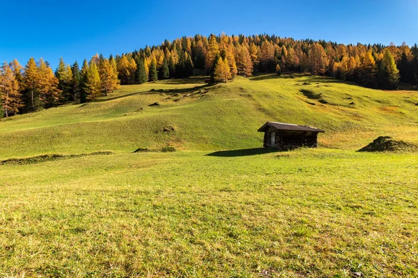 Outono Paisagem Montanhosa Com Cabana Alpina Tradicional Larício Árvores Austrian — Fotografia de Stock