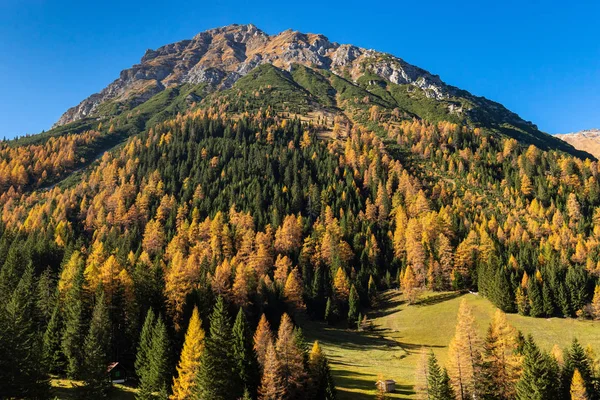 Φθινοπωρινά Χρώματα Γραφικά Στις Αυστριακές Άλπεις Πτώση Ορεινό Τοπίο — Φωτογραφία Αρχείου
