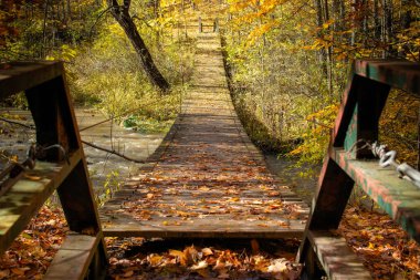 Bir ahşap köprü askıya üzerinde bir akış ile portakal ve sarı sonbahar mevsiminde yapraklar.