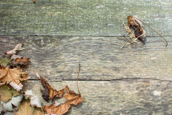 Weathered pallet wood boards as a background with dry brown leaves in the lower left corner and one in the upper right corner.