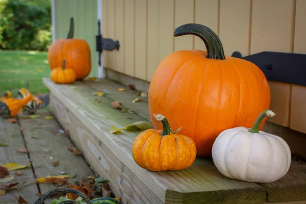 A couple of pumpkins  and three gourds placed on the ends of outdoor wooden steps with leaves.