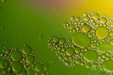 Bir portre renkli bir arka plan ile bir su yüzeyinde yağ damlacıkları.