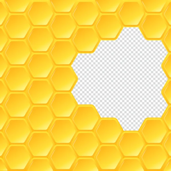 Peigne Nid Abeille Hexagonale Sur Fond Transparent Illustration Vectorielle — Image vectorielle