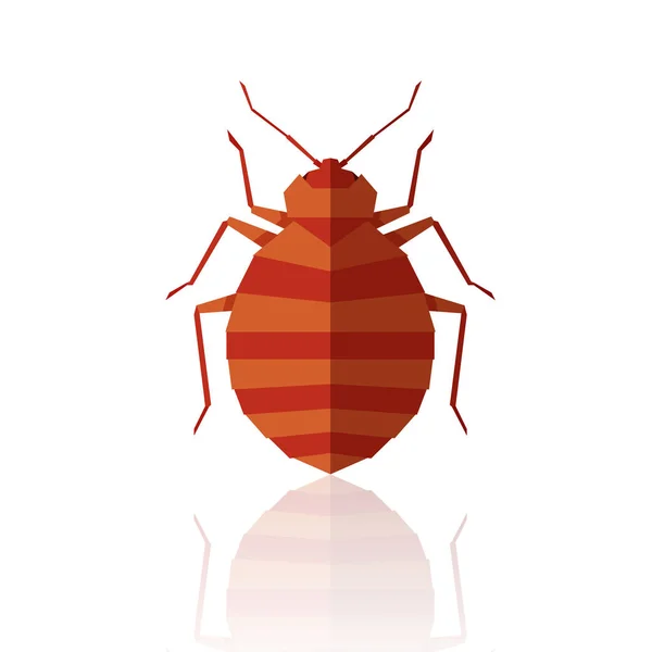 Flat geometric bedbug — Stock Vector
