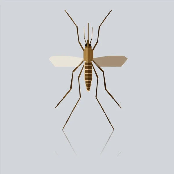 Flat geometric Mosquito — Stock Vector