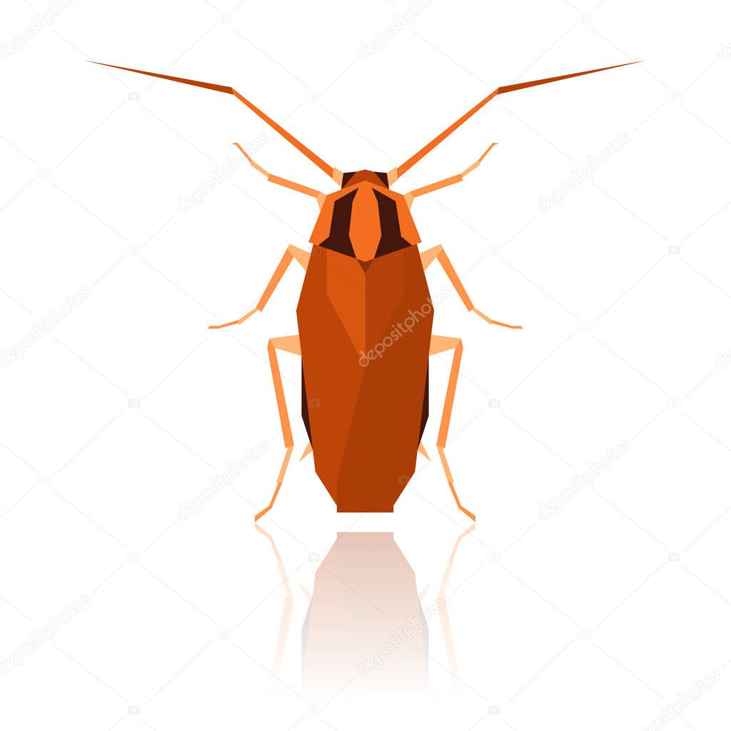 Flat geometric Cockroach