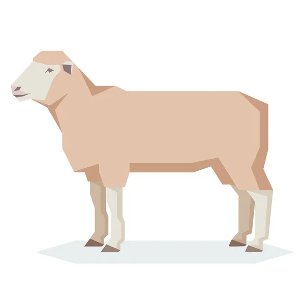 Επίπεδες γεωμετρικές Dorset πρόβατα — Διανυσματικό Αρχείο