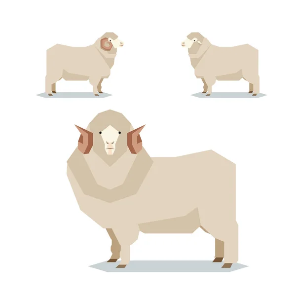 Plat geometrische Merino schapen — Stockvector