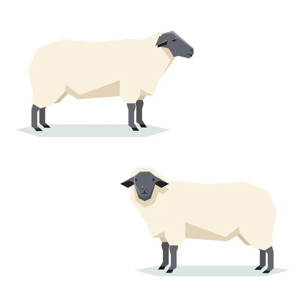 Plat geometrische Suffolk schapen — Stockvector