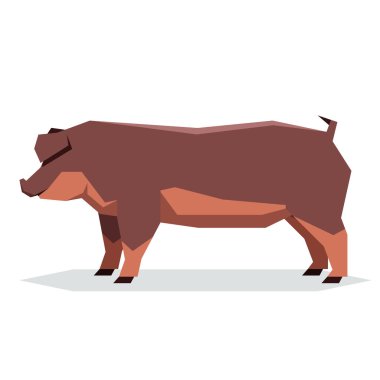 Düz geometrik Duroc domuz
