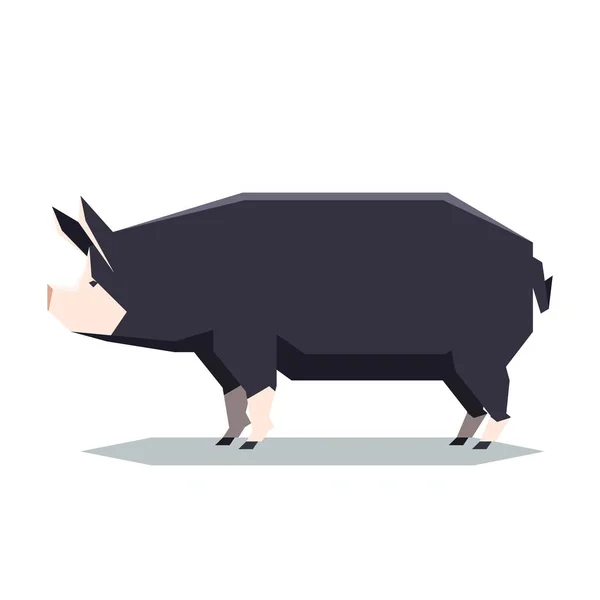 Векторное Изображение Беркширской Свиньи — стоковый вектор