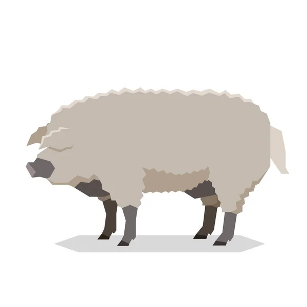 Flaches geometrisches Mangalitsa-Schwein — Stockvektor