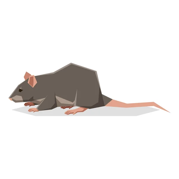Flat geometric Rat — Stock Vector