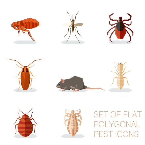 Vector Image Set Flat Polygonal Pest Icons — Stock Vector
