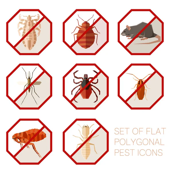 Set of flat polygonal signs of pest icons Vector Graphics