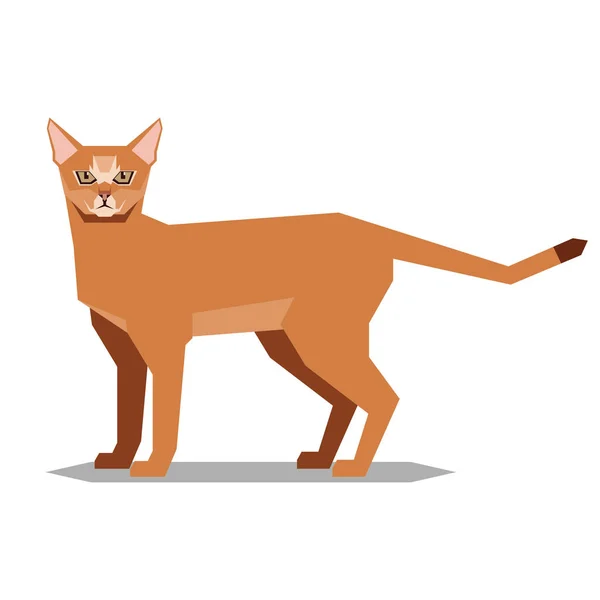 多角形の Abissinian 猫のベクター画像 — ストックベクタ