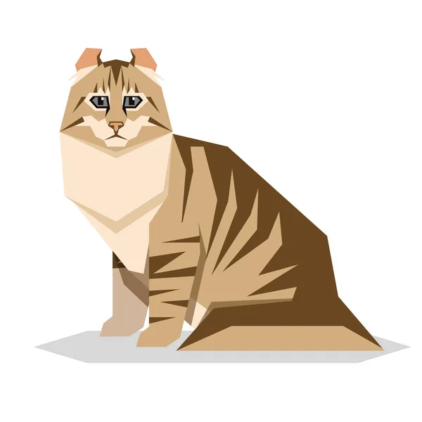 American Curl Cat Raza sobre fondo blanco — Vector de stock