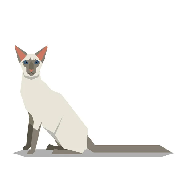 白い背景の上のバリ猫の品種 — ストックベクタ